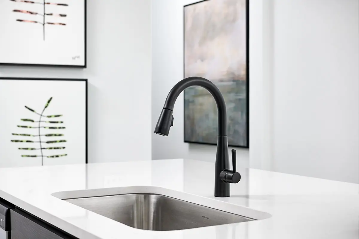 Single handle black Delta kitchen faucet